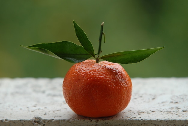 Mandarine, Garten im Freien