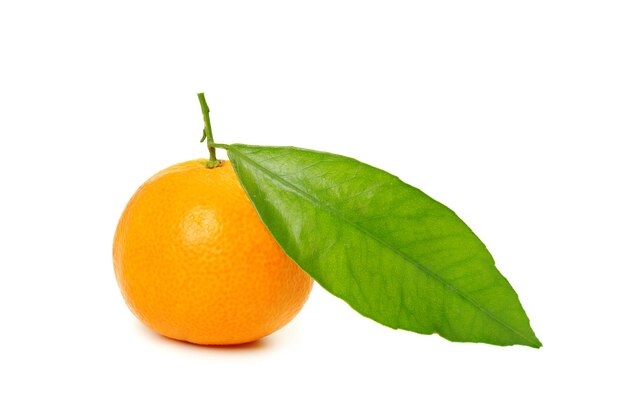 Mandarine isoliert