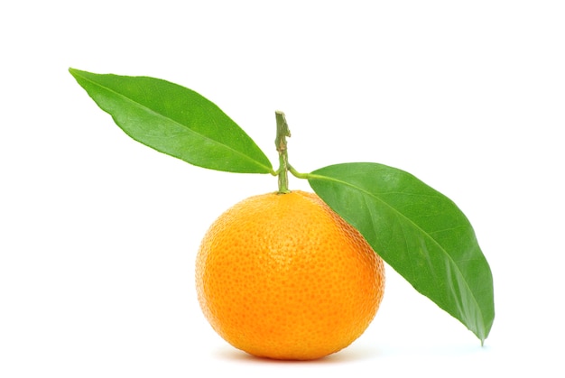 Mandarine lokalisiert auf einem weißen Hintergrund