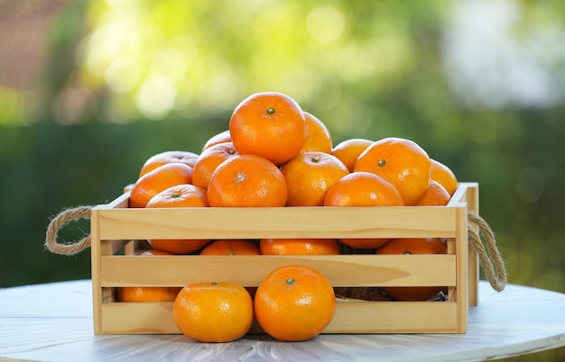 Mandarinen in Holzkiste auf grünem Naturgarten Unschärfe Hintergrund frische Taiwan Mandarine