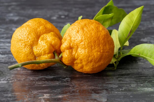 Mandarinen oder Clementinen mit grünen Blättern auf schwarzem Hintergrund