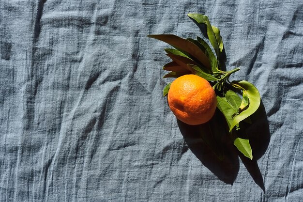 Foto mandarinen oder orangen clementinenzitrusfrüchte mit grünen blättern auf pastellblauem textilhintergrund