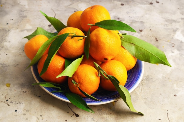 Mandarinen (Orangen, Mandarinen, Clementinen, Zitrusfrüchte) mit Blättern in blauer Platte auf grauem Zementhintergrund. Bio-vegetarisches Essen. Lokale Winterfrüchte. Gesundes Detox-Essen-Konzept.