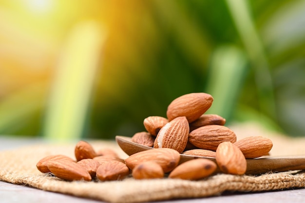 Mandeln Nüsse auf Sack Köstliche süße Mandeln auf dem naturgrünen Hintergrund geröstete Mandelnuss für gesunde Ernährung und Snacks