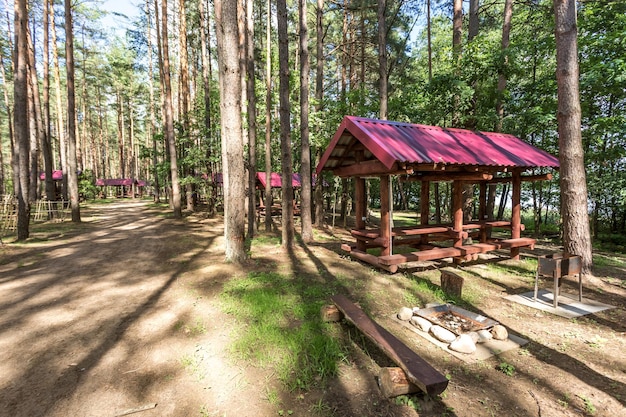 Mandris de acampamento de madeira com todas as conveniências em uma floresta de pinheiros