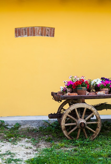 Foto manera muy elegante de mostrar flores en toscana - italia