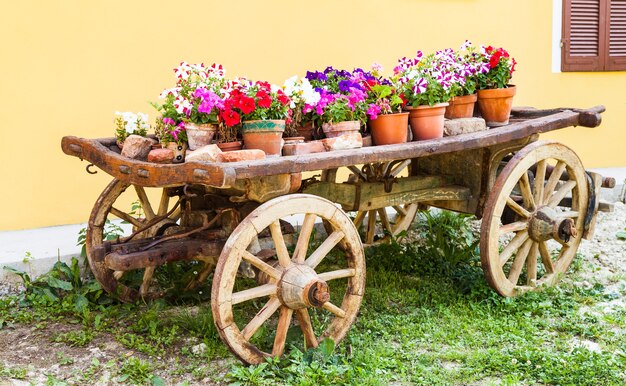 Manera muy elegante de mostrar flores en Toscana - Italia