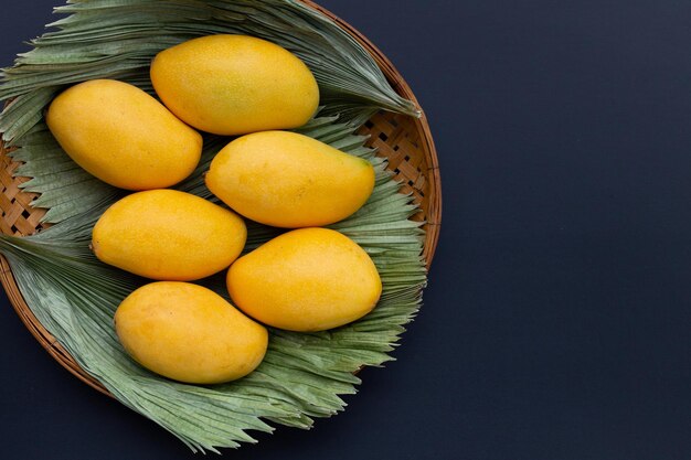 Manga de frutas tropicais em fundo escuro