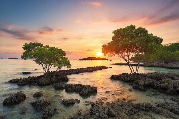 Manglares y corales en la playa de tanjung pinggir en la isla de batam al atardecer