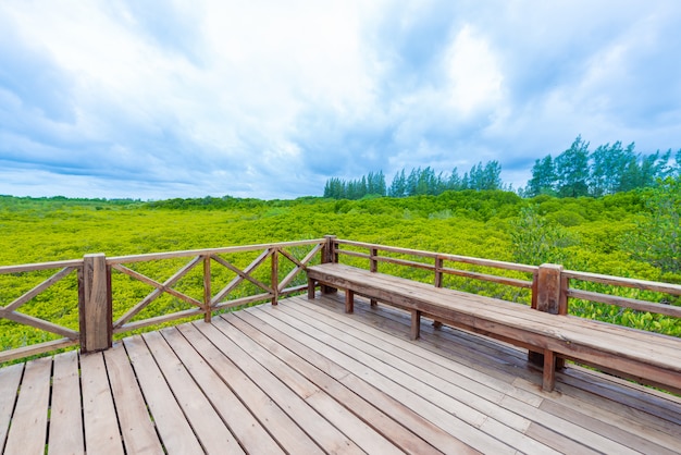 Manglares inTung Prong Thong o Golden Mangrove Field en el estuario Pra Sae, Rayong, Tailandia