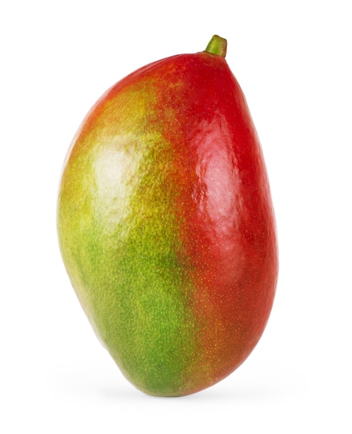 Mango aislado en blanco