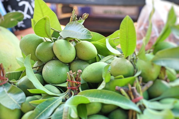 mango en comida callejera