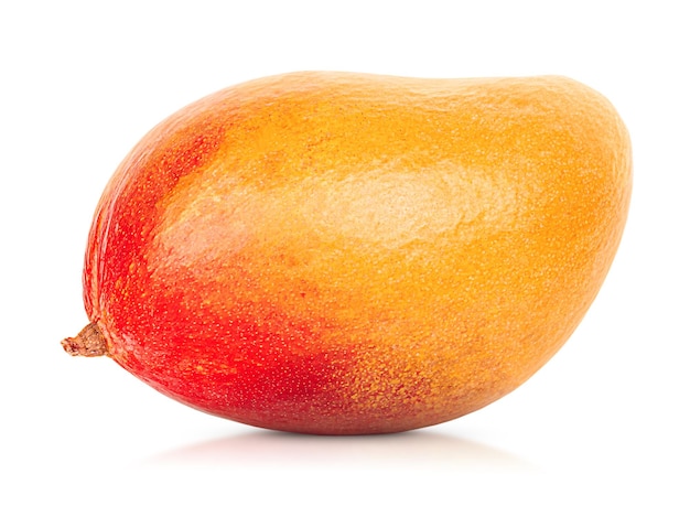 Un mango entero sobre un fondo blanco aislado