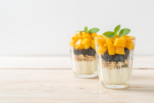 mango fresco casero y arándanos frescos con yogur y granola - estilo de comida saludable