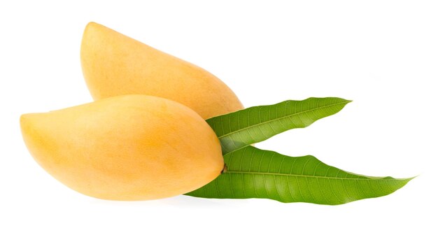 Mango-Frucht mit Blättern isoliert auf weißem Hintergrund