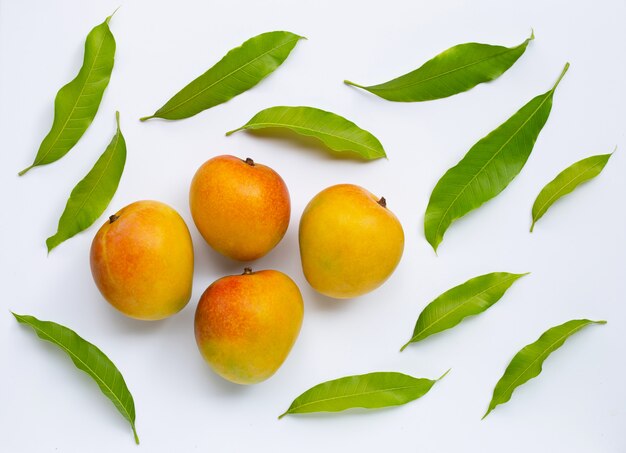 Mango, frutas tropicales con hojas sobre fondo blanco. Vista superior