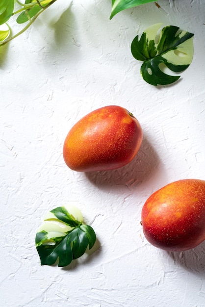 Mango-Hintergrund-Design-Konzept Ansicht von oben Gewürfelte frische Mango-Frucht auf weißem Tisch