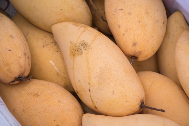 Mango ist überall in Thailand. Mangos auf dem Markt.