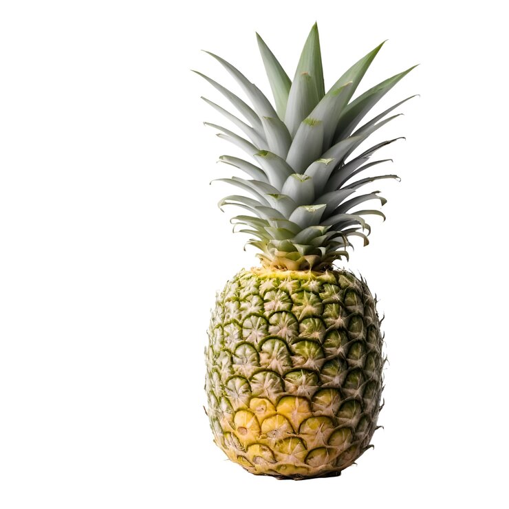 Mango de piña aislado blanco Ilustración de la imagen de fondo