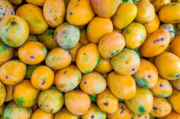 Mango en rodajas jugosas maduras frescas sobre un fondo blanco, aislado, primer plano