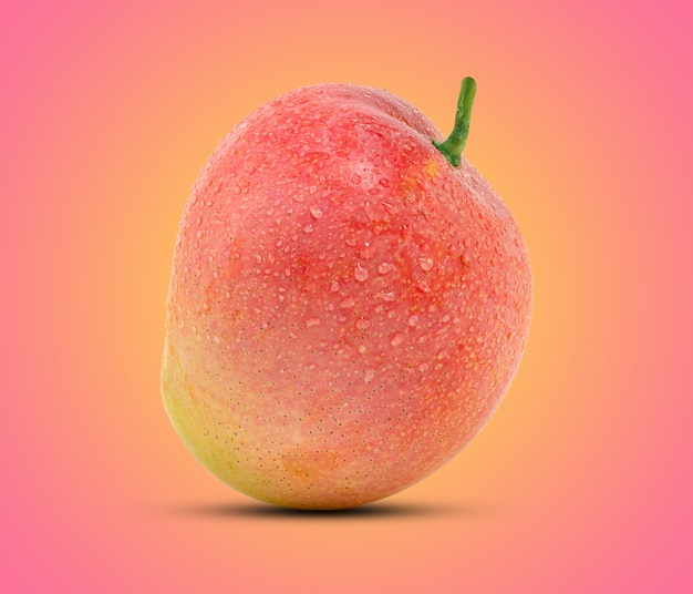 Mangofrucht auf rosa Hintergrund mit Schnittpfad