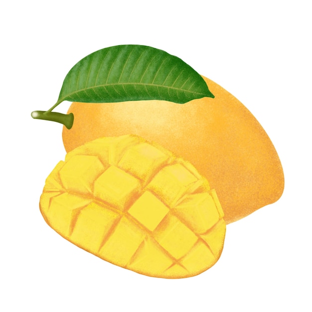 Mangofruchtillustration