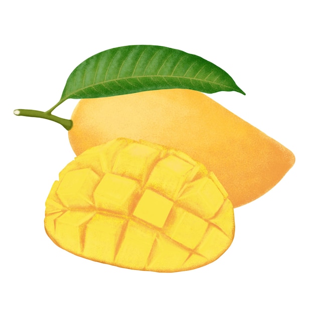 Mangofruchtillustration