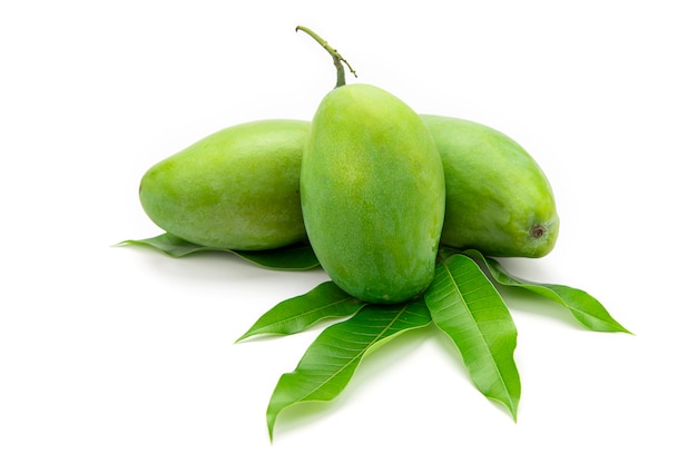 Los mangos verdes se colocan en hojas de mango aisladas sobre fondo blanco.