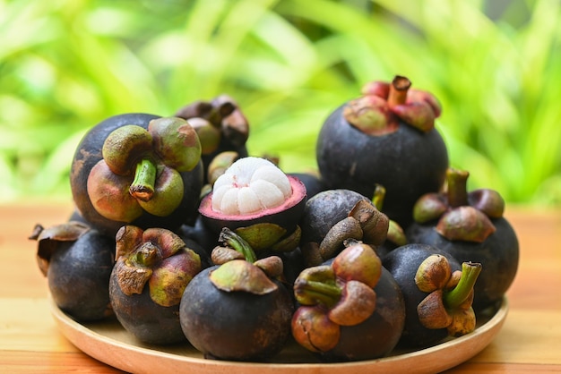 Mangostan auf Platte und Naturhintergrund Frische reife Mangostan, die im Sommer vom Baum bei tropischen Früchten Thailand geschält wird