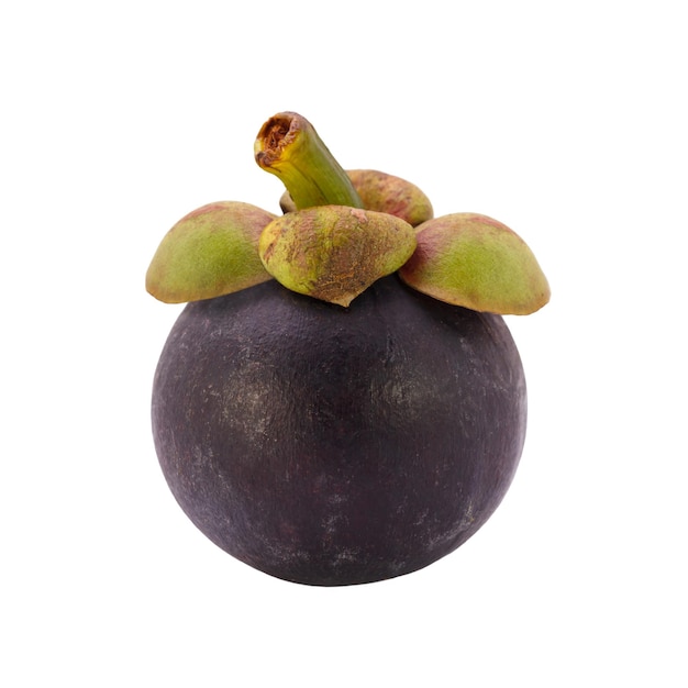 Mangostan-Frucht