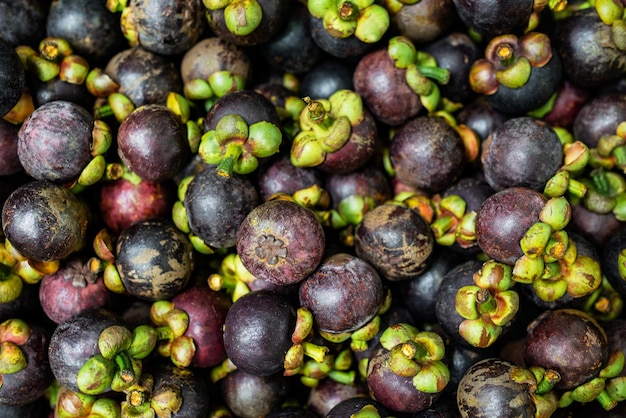 mangostão roxo