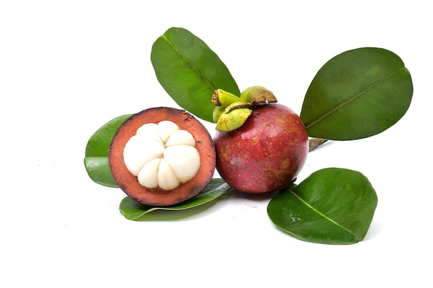 Mangosteen aislado sobre un fondo blanco