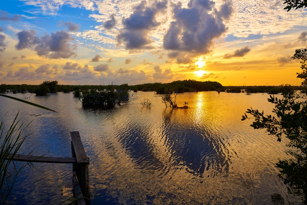 Mangroove Sonnenuntergang in Riviera Maya