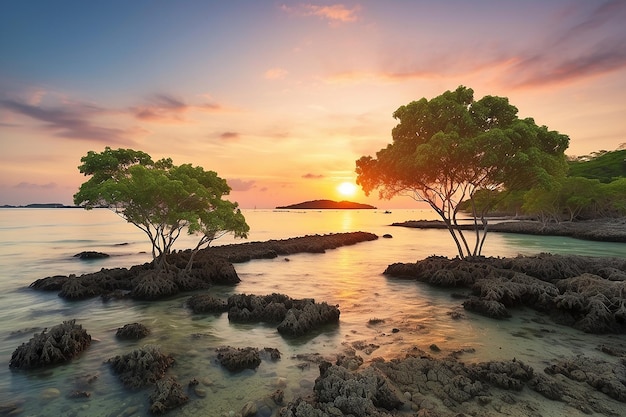 Mangrovenbäume und Korallen am Strand von Tanjung Pinggir auf der Insel Batam bei Sonnenuntergang