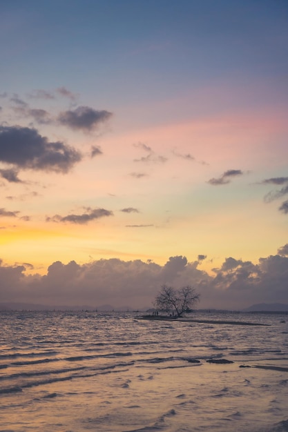 Foto mangrovenbaum-insel von der wasseroberfläche aus gesehen