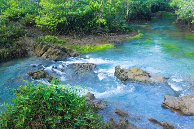 Mangrovenwald und eine Flusslandschaft in Thapom Klong Song Nam Krabi, Thailand