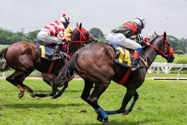 Jockey Com Seu Cavalo Pulando Sobre Um Obstáculo Pulando Sobre O Obstáculo  Na Competição Foto de Stock - Imagem de movimento, equestre: 194863184