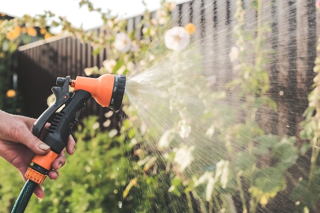 Mangueira de jardim e pistola de pulverização à disposição para regar o campo verde.