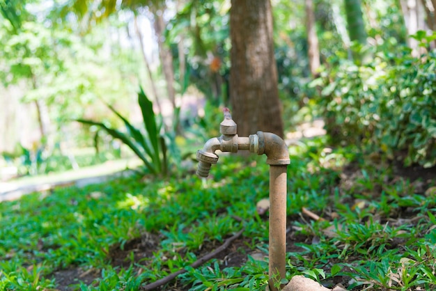 Mangueira de jardim ou tubo de borracha branca com torneira no campo de grama.