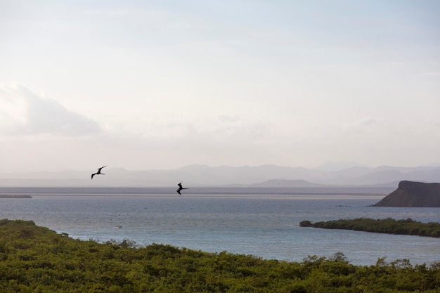 Manguezais e litoral perto de Punta Gallinas em La Guajira