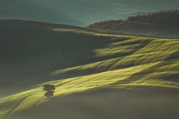 Manhã adiantada da mola no campo de Toscânia, Itália.