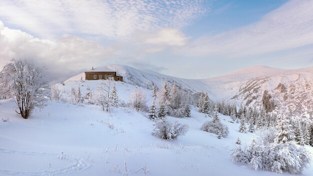 Foto manhã antes do amanhecer inverno panorama da montanha carpathian ucrânia