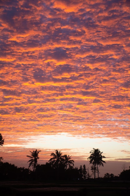 manhã com lindo céu