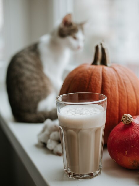 Manhã com uma xícara de café com abóbora e gato sentado no parapeito da janela