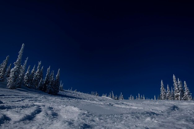 Foto manhã de inverno ensolarada nas montanhas de sheregesh na pista de esqui