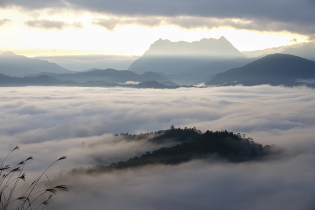 Manhã de montanha