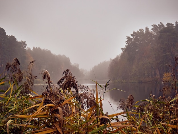 Manhã de nevoeiro de outono no lago.