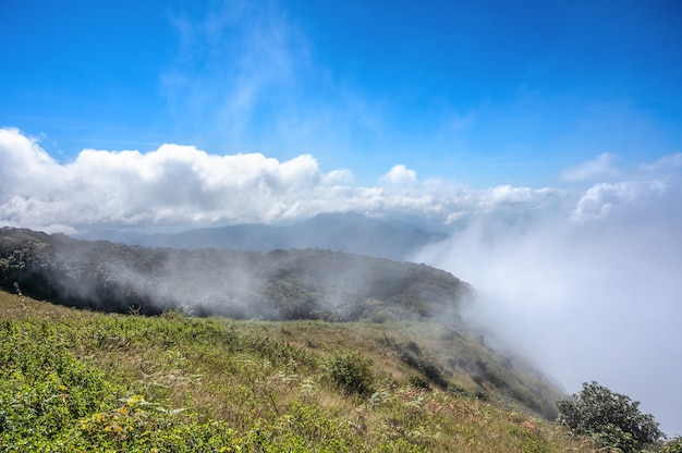 Manhã de nevoeiro nas montanhas de Kew Mae Pan, Parque Nacional Doi Inthanon, Chiang mai. Trilhas na Tailândia.