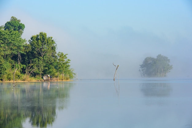 Foto manhã de nevoeiro no lago