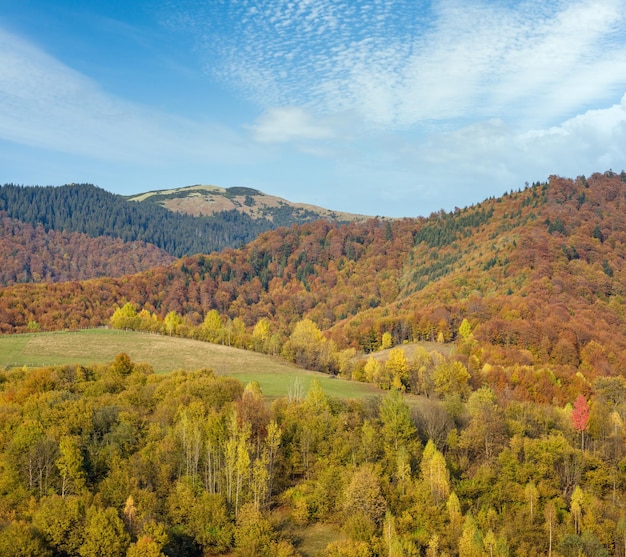 Manhã de outono, as montanhas dos Cárpatos acalmam a cena pitoresca Ucrânia Viajando tranquilamente natureza sazonal e cena do conceito de beleza rural